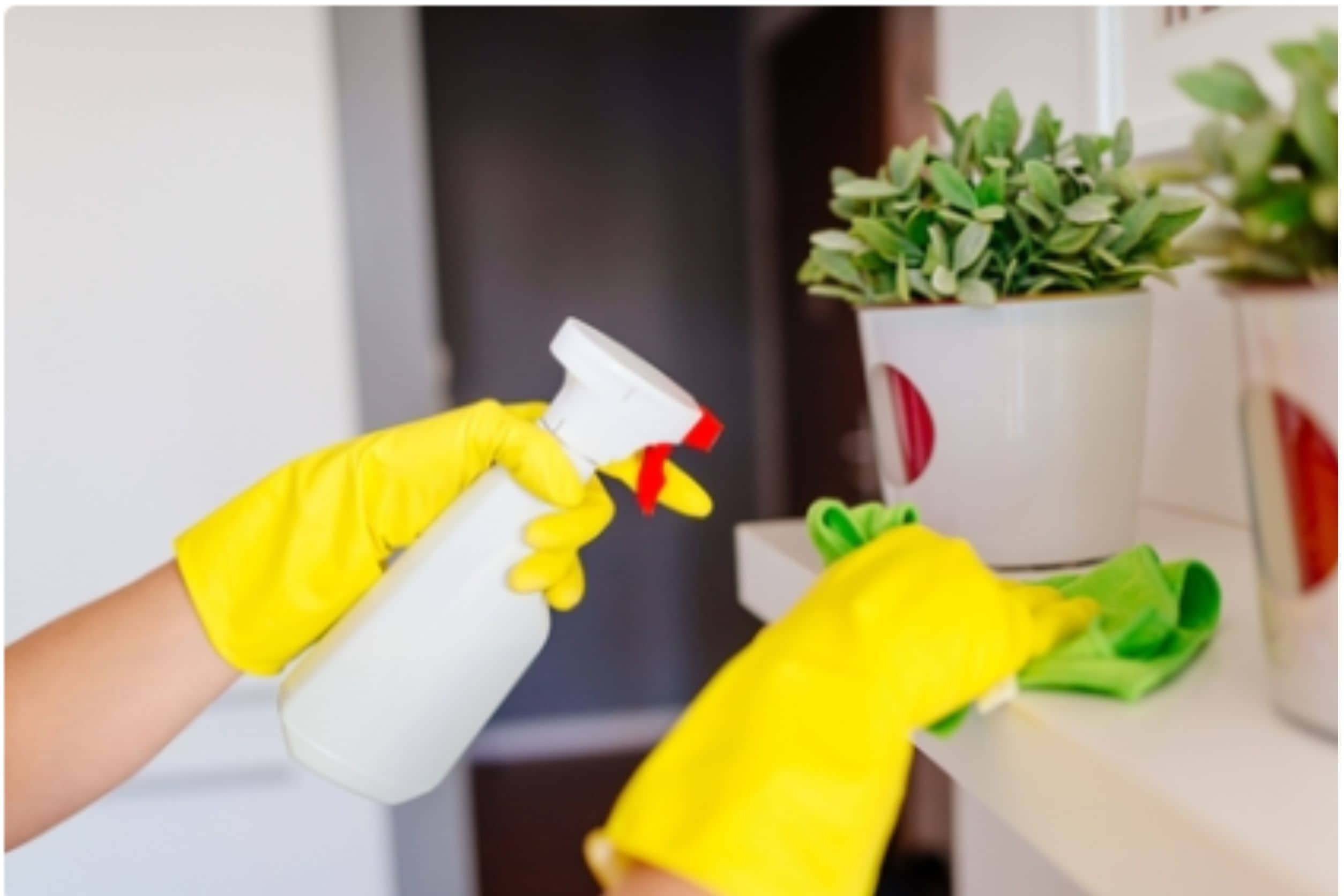 7 Tips Menjaga Kebersihan di Lingkungan Rumah